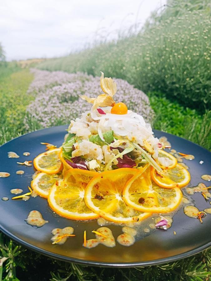 Hotel Boutique Molino De Enmedio Hueneja Zewnętrze zdjęcie